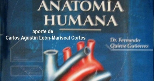 Anatomia Humana Fernando Quiroz Pdf Descargar kinefisiopdf.blogspot.com