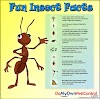 Facts About Animals For Kids