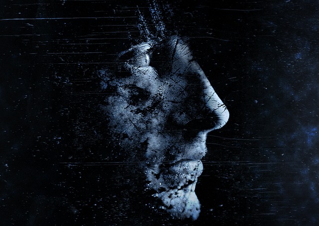 Rotterdam Den Haag Minza Will Sommer