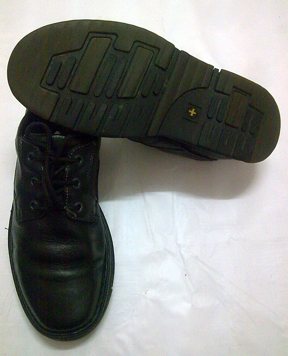 lacoste suede