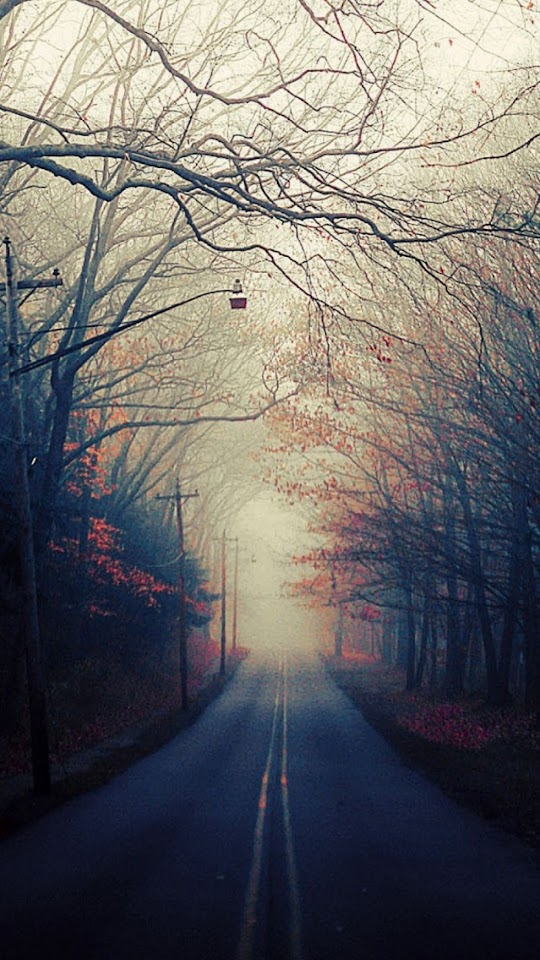 Beautiful Autumn Road  Android Best Wallpaper