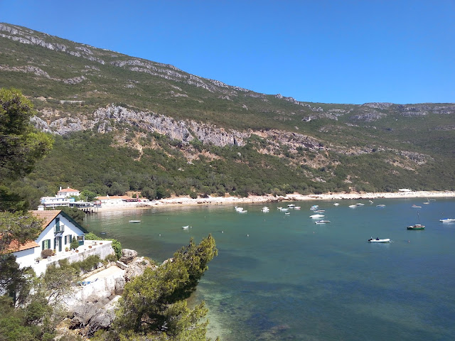 IMG 20150806 115730