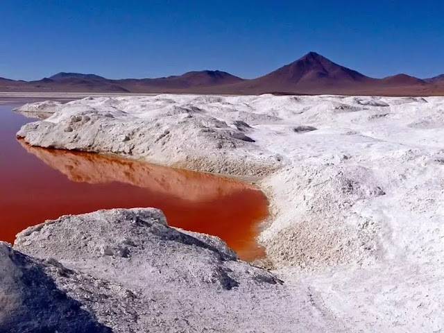 Laguna Colorada bolivia