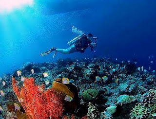  The surface area has a particular attraction for the visitors BaliTourismMap: diving  at Nusa Penida Bali