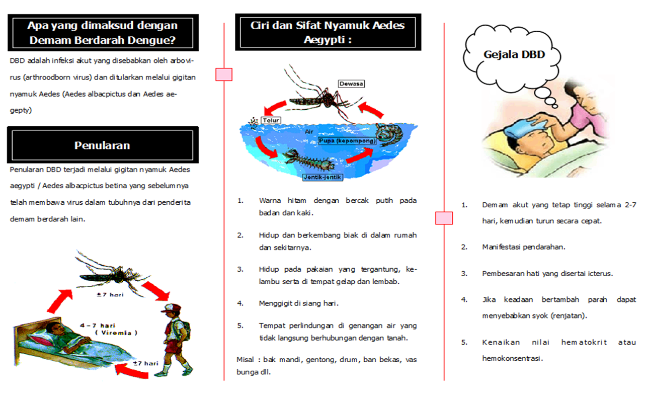 Info Kesehatan Masyarakat Leaflet Demam Berdarah Dengue (DBD)