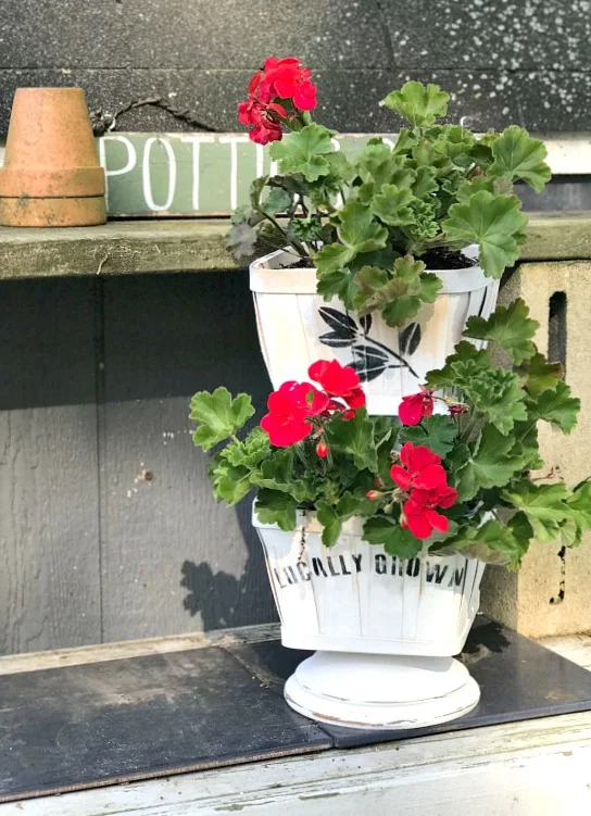 Making a tiered basket planter for geraniums.