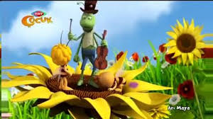 2015 deniz i bilen baliklar