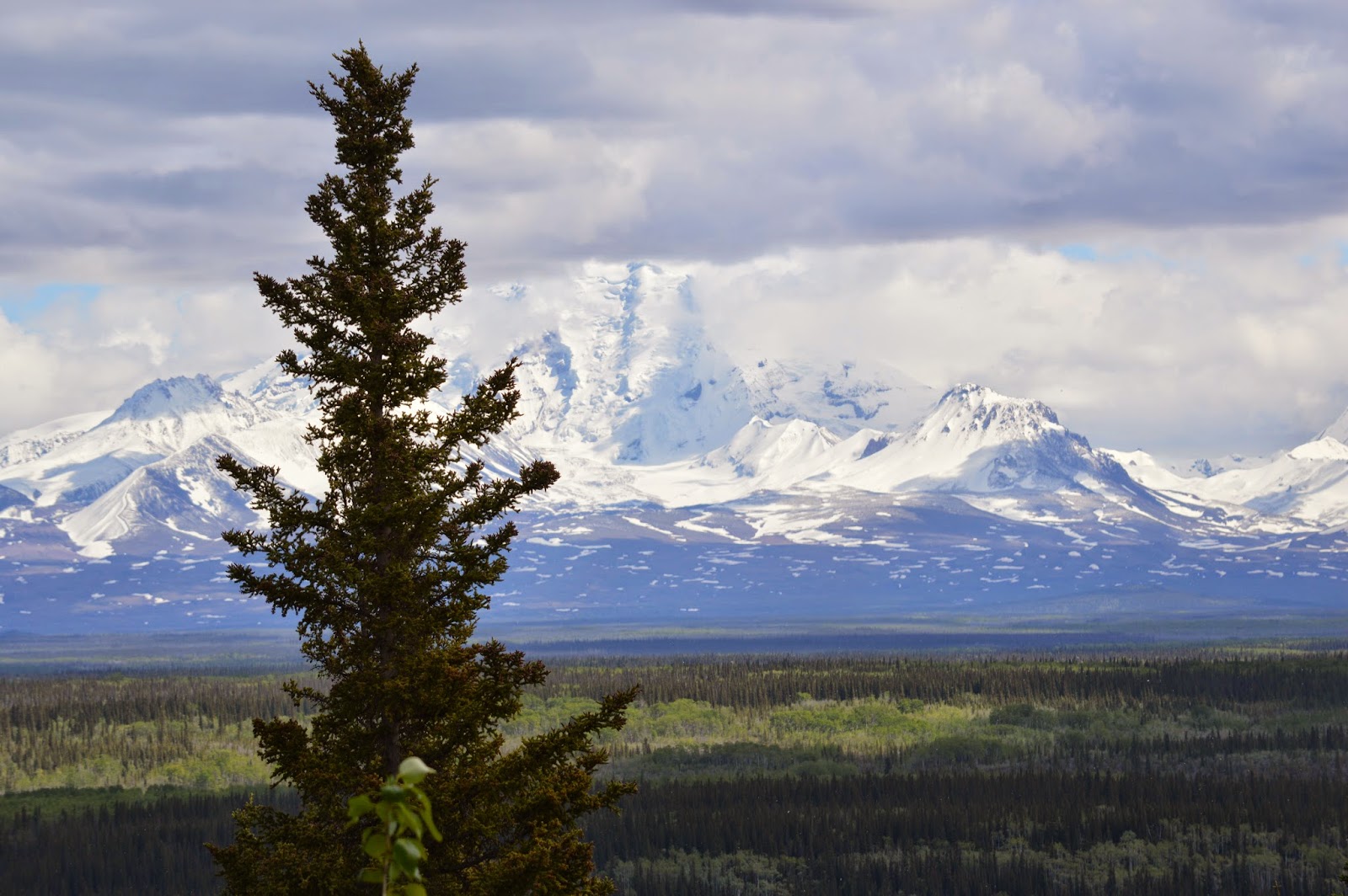 Flick 2014 Journey Glennallen, AK to Anchorage, AK (Glenn Highway