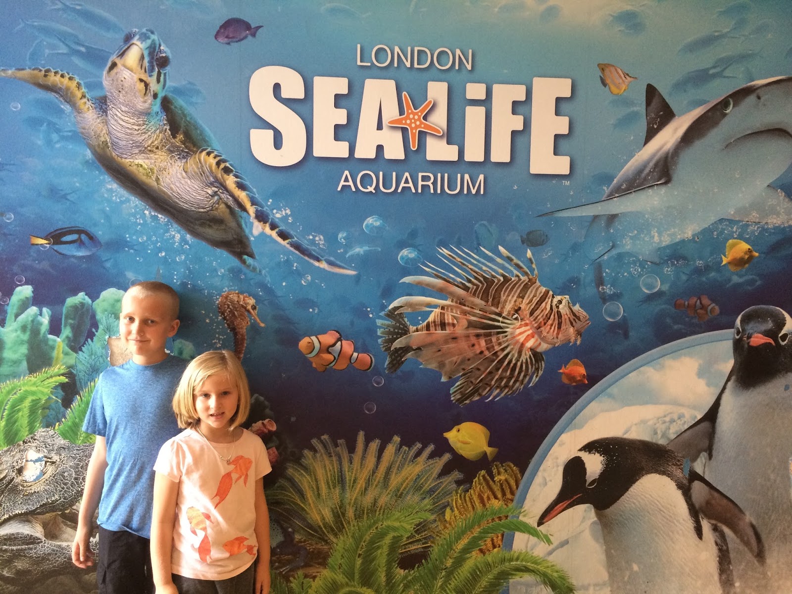 Summer Abroad with Kids London SeaLife Aquarium