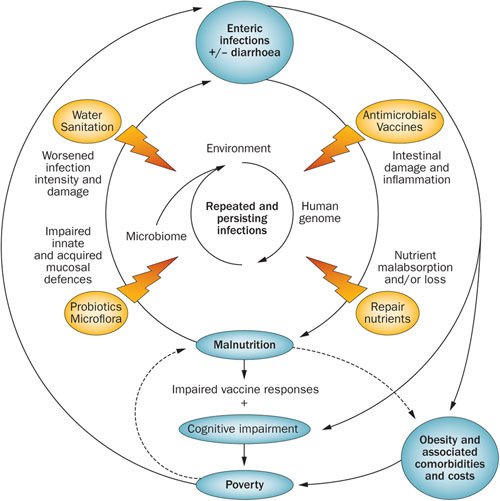 Triple Burden of Deseases Stay Public Health