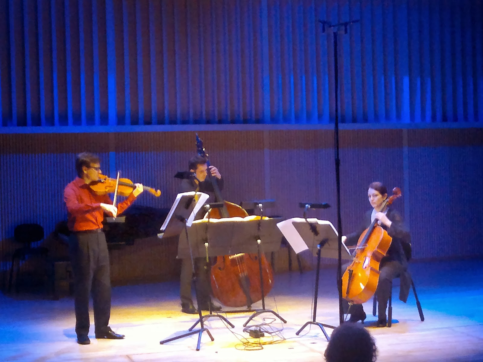 PUUTARHAKATU Mauricio Kagel