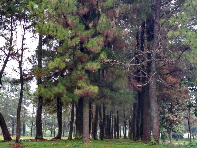 Taman Bilabong Permai Bojonggede Taman Bilabong Permai Bojonggede