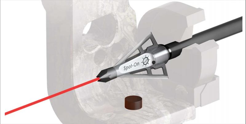 Blog De Chasse Au Chevreuil A L Arc Pointe De Fleche Au Laser