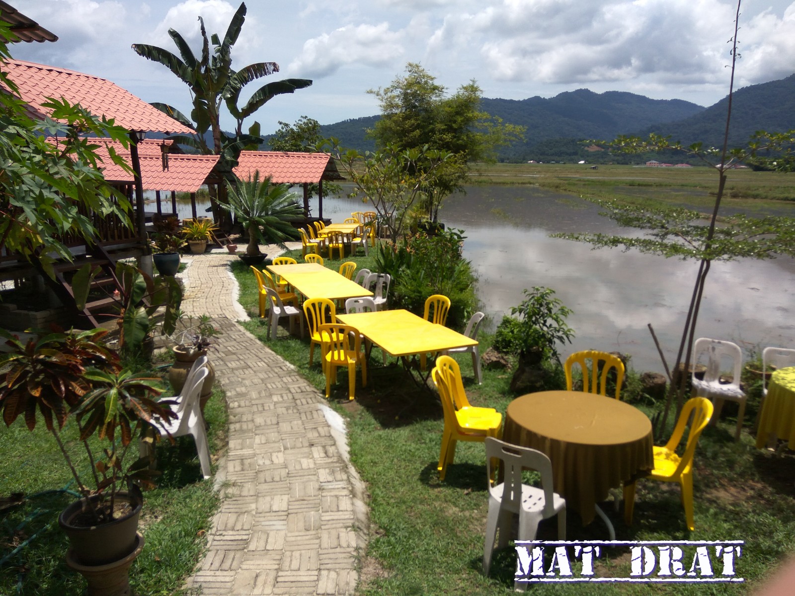 Sedap langkawi makan Kedai Makan