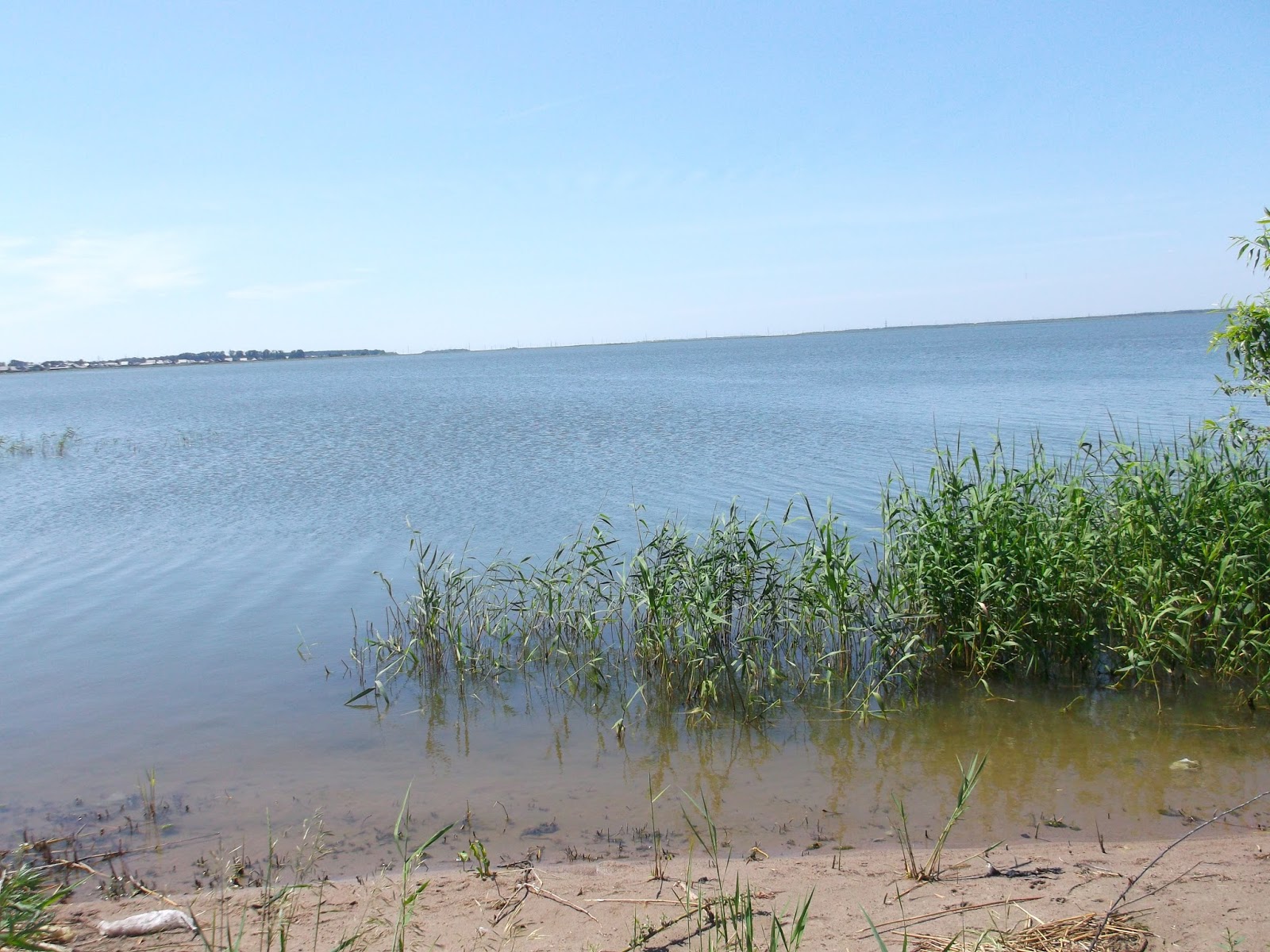 Озеро горькое алтайский край