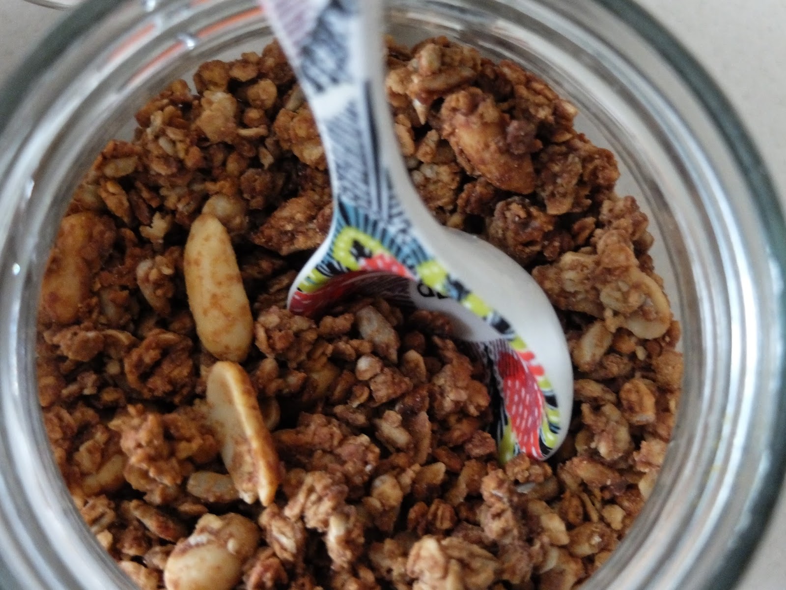 Honey & Ricotta David Lebovitz Chocolate Chip and Peanut Butter Granola