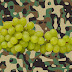 Military Diet Substitutions and the Basic Concept