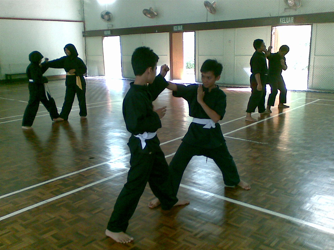 Kelas Silat Bangi SILAT 3 JENIS TUMBUKAN YANG BERKESAN