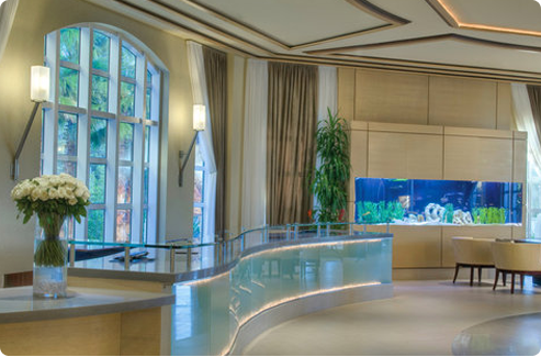 coral cape westin hotel florida west commences south