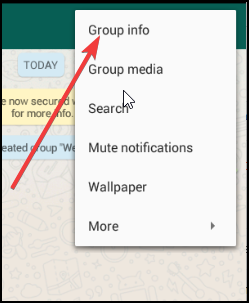 group-info-of-whatsapp-group