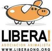 Asociación Animalista LIBERA!