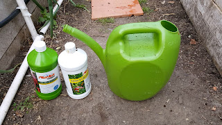 Add beneficial bacteria in your soil