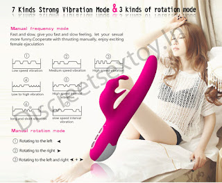 PAG%2B%25285%2529discreetsextoywatermark