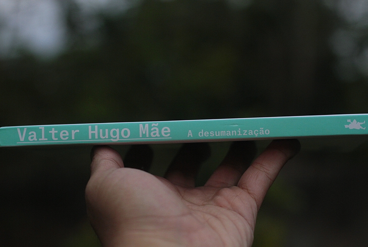 Resenha: A Desumanização - Valter Hugo Mãe A Desumanização Valter Hugo Mãe, Resenha A Desumanização, Resenha Valter Hugo Mãe