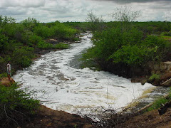 Perda de água de chuva por escoamento