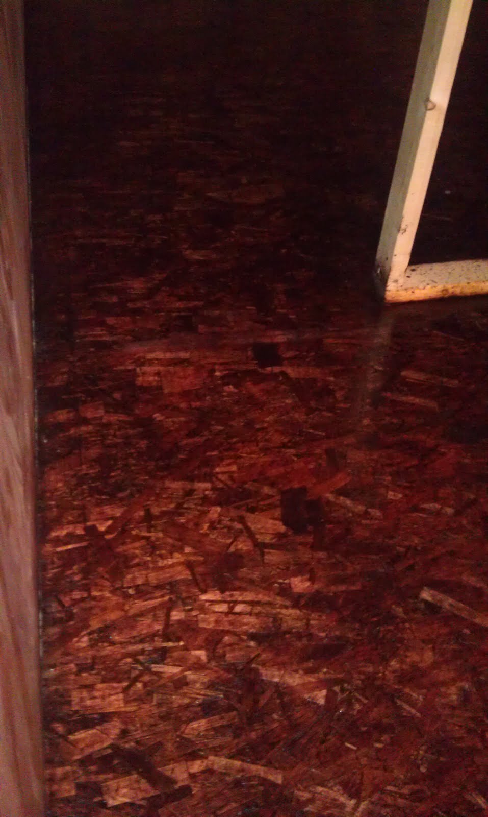 The Commodore's Renovations Second coat of varnish on my OSB floor.