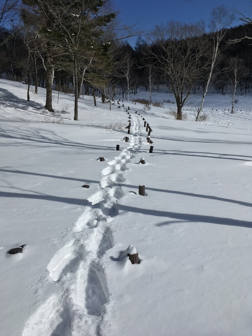 冬場の体力維持のためスノーシュー