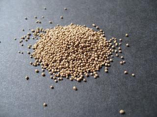 dried yeast