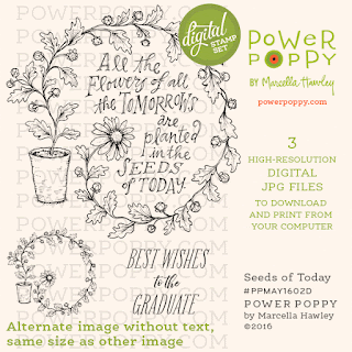 Power Poppy, Marcella Hawley, Seeds of Today, Instant Garden Digital Release, May 2016