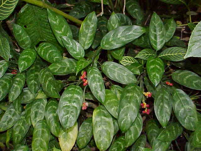 Hati-Hati Dengan Mitos Tentang Rezeki, Cek Faktanya di Sini! Hati-Hati Dengan Mitos Tentang Rezeki, Cek Faktanya di Sini!