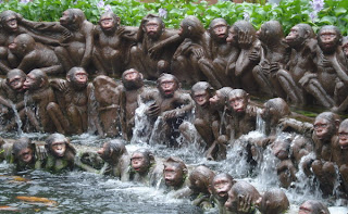 monyet mandi