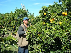 ECOLOGIA DE PRODUCCION AGRARIA