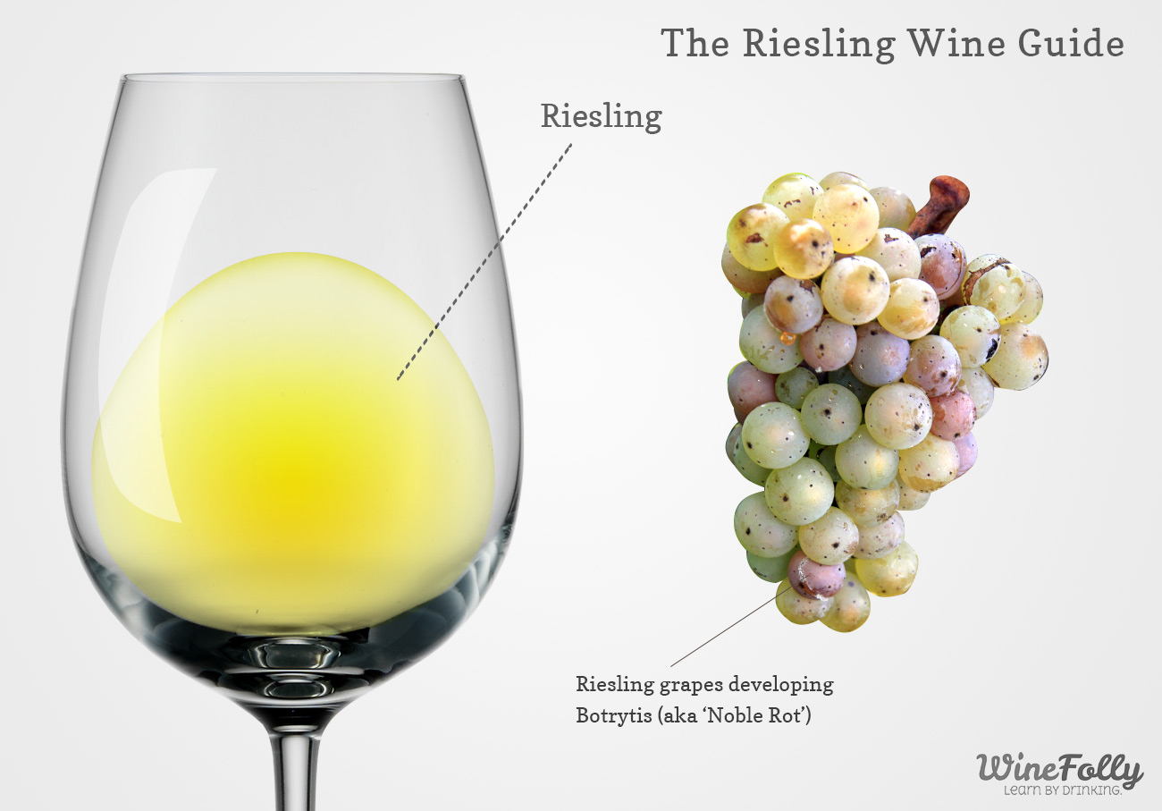 Сорт белого вина 7. Виноград Рислинг вино. Вино с виноградом Рислинг белое. Вина сорта Рислинг. Вино с сортом винограда Рислинг.