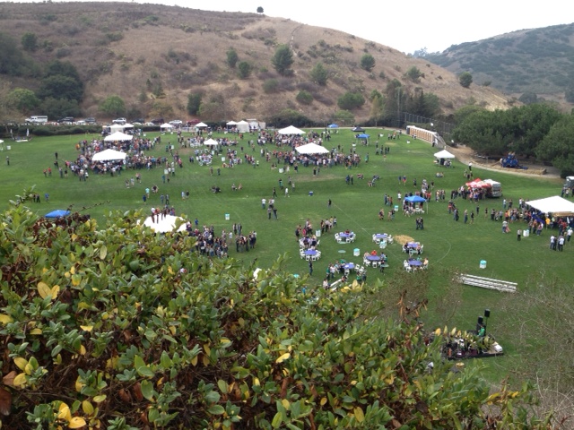 Grunion Rugby Latest News