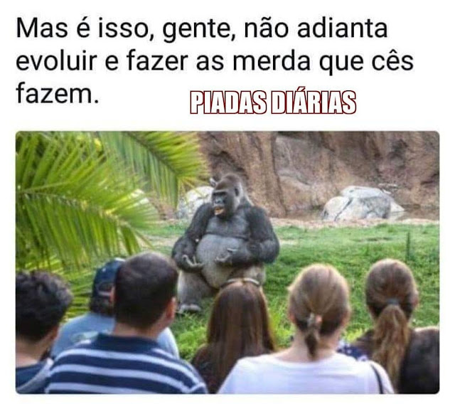 Memes+engra%25C3%25A7ados++%252812%2529.