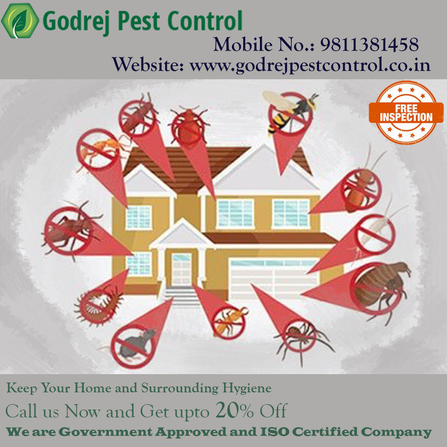Godrej Pest Control Delhi Noida Ultimate Service for Pest Control Dwarka