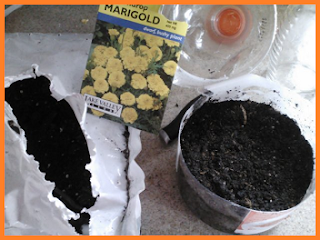 1 bag of dirt, 1 packet of lemondrop marigold seeds, half gallon milk jug sliced in half, paring knife