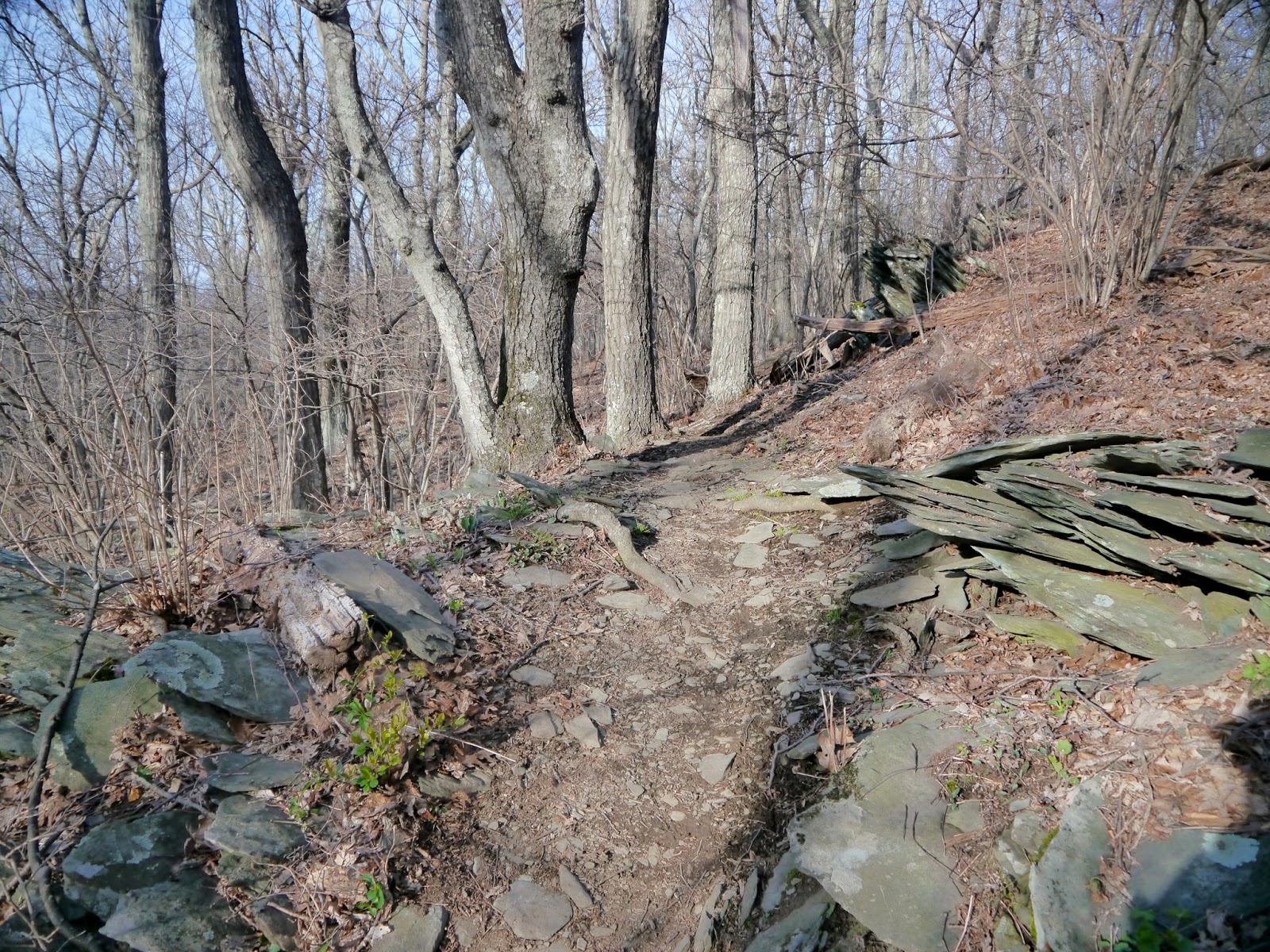 American Travel Journal Rockfish Gap to McCormick Gap Appalachian