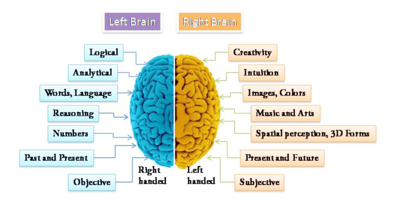 Английский brains. Right or left Brain. Left Brain vs right Brain. Left or right. Найдите 5 звезд Brain.