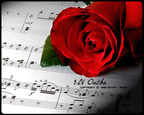 ������ ���� ������ �� ���� ������