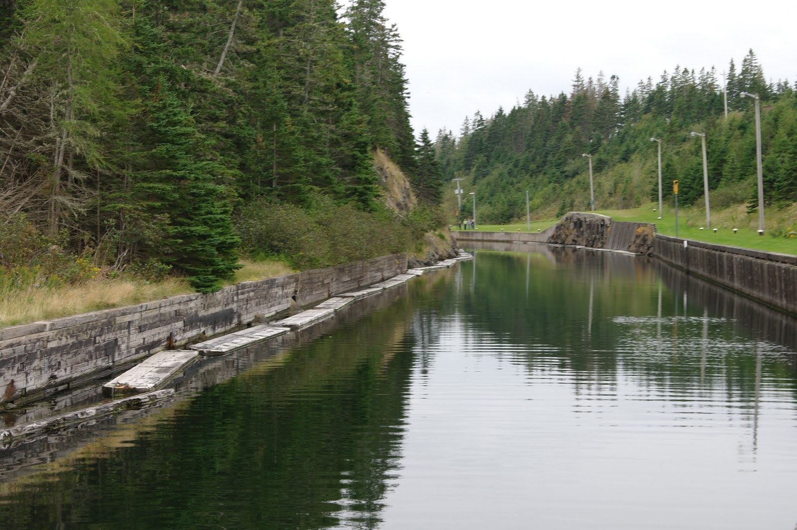 lion king op wereldreis Novo Scotia