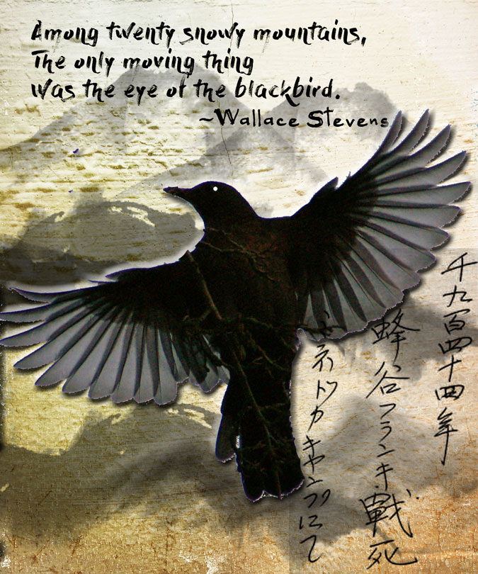 just-another-volunteer-take-a-word-blackbird