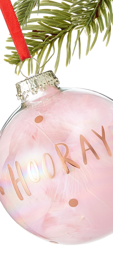 Holiday Lane Dreamland Iridescent "Hooray" Ornament