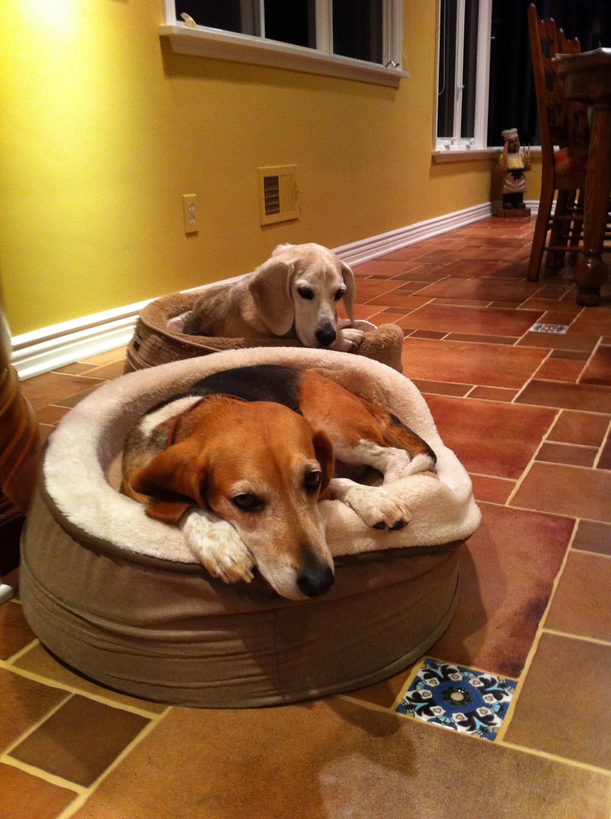 For the Love of Beagles! Dog Beds