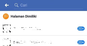 Cara Menghapus Halaman Blog Pribadi Di Fb - Soal Sekolah