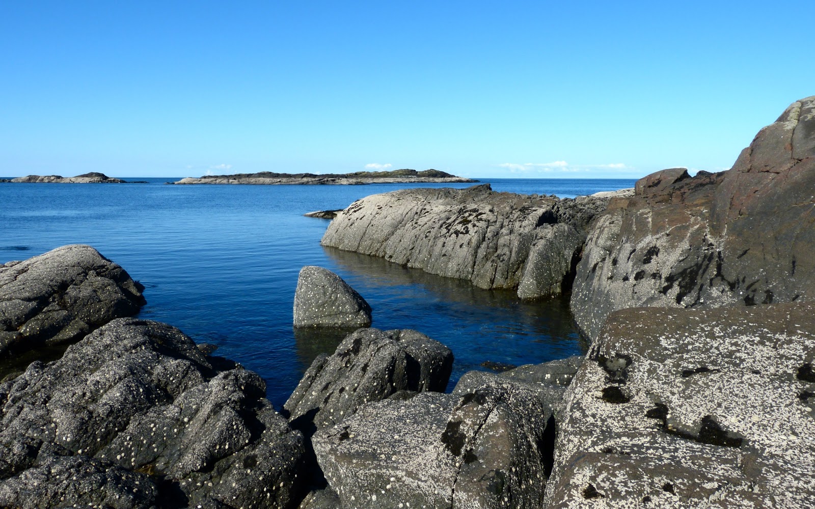 A Kilchoan Diary The Ardnamurchan Coast